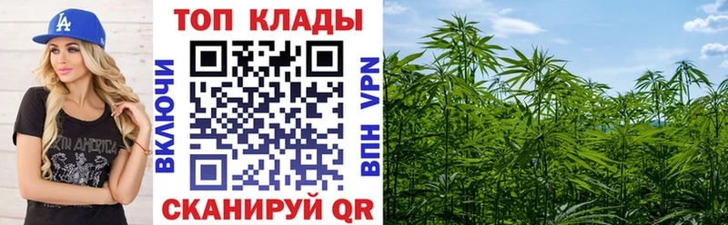 Какие есть наркотики Буйнакск СК  Конопля  Меф мяу мяу  OMG ONION  Гашиш 