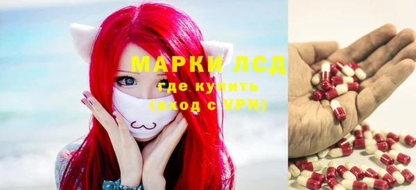 СК Белокуриха