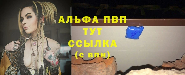прущие грибы Белоозёрский