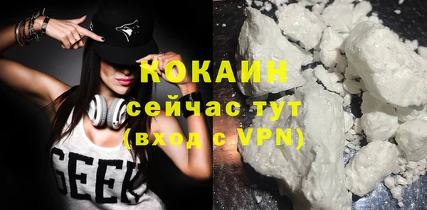 прущие грибы Белоозёрский