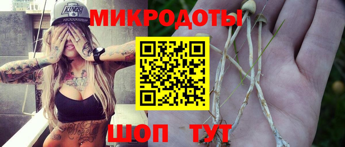 Буйнакск  наркошоп  Галлюциногенные грибы прущие грибы  Вход с VPN  Псилоцибиновые грибы мицелий 